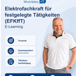 E-Learning – Elektrofachkraft für festgelegte Tätigkeiten (EFKffT) - Start jederzeit möglich!